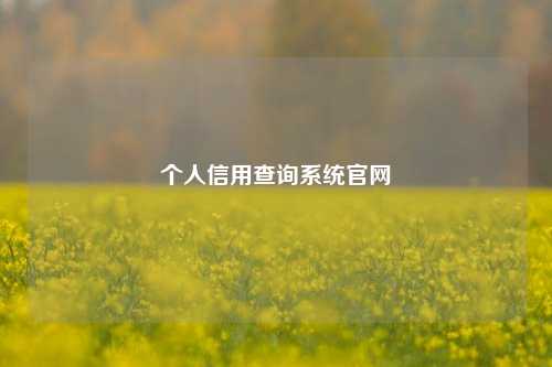 个人信用查询系统官网